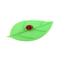 Lurch - My Lid - pokrywka silikonowa liść z biedronką - wymiary: 10,5 x 12,5 cm