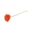 Villeroy & Boch - Artificial Flowers - sztuczny kwiat - gerbera pomarańczowa - długość: 60 cm