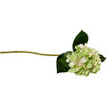 Villeroy & Boch - Artificial Flowers - sztuczny kwiat - hortensja - długość: 65 cm