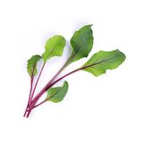 Véritable - Warzywa Liściowe - wkład nasienny - burak ćwikłowy - do doniczek autonomicznych