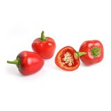 Véritable - Mini Warzywa - wkład nasienny - czerwona mini-papryka - do doniczek autonomicznych