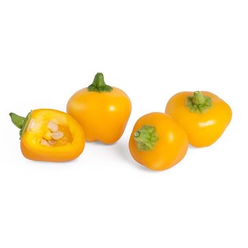 Véritable - Mini Warzywa - wkład nasienny - żółta mini-papryka - do doniczek autonomicznych